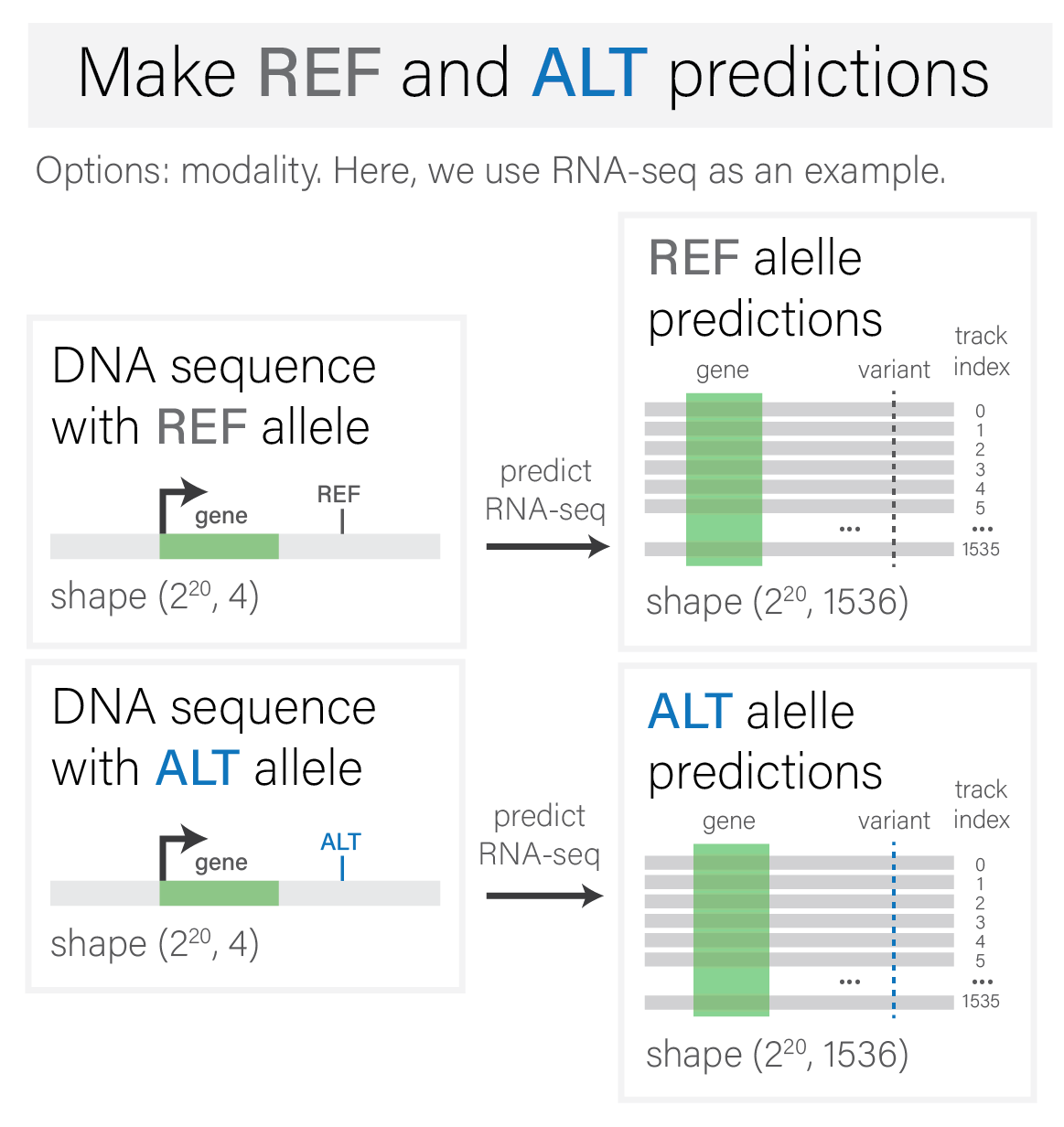 Make `REF` and `ALT` predictions for given modality.